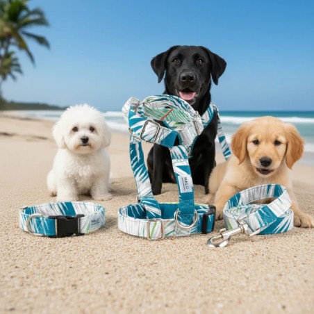 Kabira dog leash - Gecodart