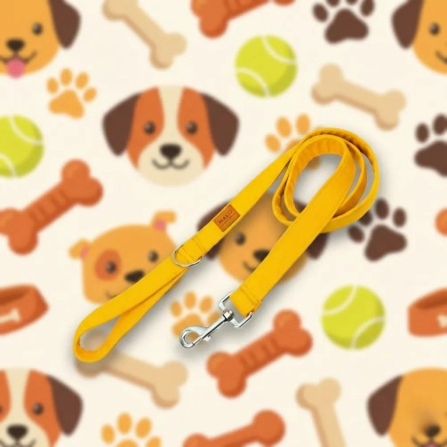 Solare dog leash – Gecodart