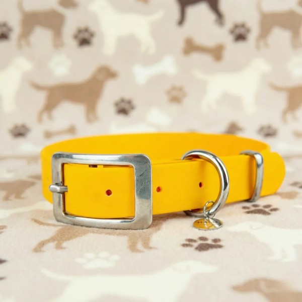 Sunny waterproof collar – Buy at Gecodart
