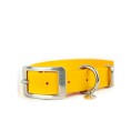 Sunny waterproof collar