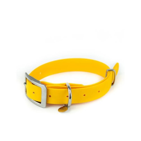 Sunny wasserdichtes Halsband – Kaufen Sie bei Gecodart