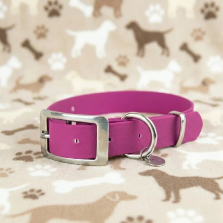 Lilac wasserdichtes Halsband – Kaufen Sie bei Gecodart