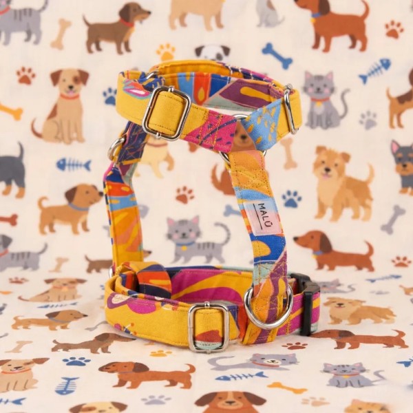 Pettorina per colibrì – Acquista su Gecodart