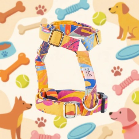 Colibri Harness – Buy at Gecodart