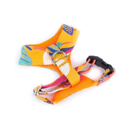 Colibri comfort harness – Buy at Gecodart