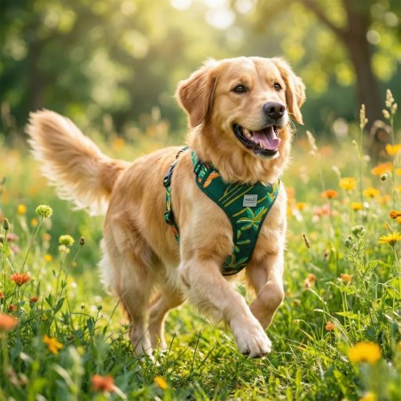 Arashi Comfort Harness - Buy at Gecodart