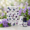 Violette - Huile Aromatique 6x