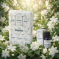 Jasmine - Aromatic Oil 6x