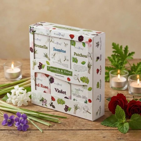 Assortimento di coni di incenso a riflusso - Gecodart