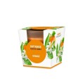 Orange - Bougie en verre