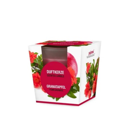 Scented Candle in Glass - Pomegranate