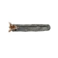 Dragon Skull Incense Holder